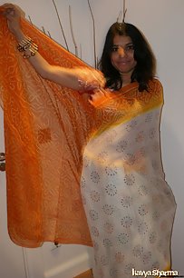 Indian Babe Kavya In Sari